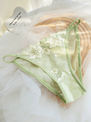 Flat lay image of the panties that come as part of the Dragonfly bra set